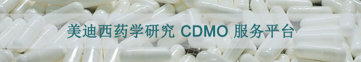 南宫NG28药学钻研CDMO服务平台.jpg