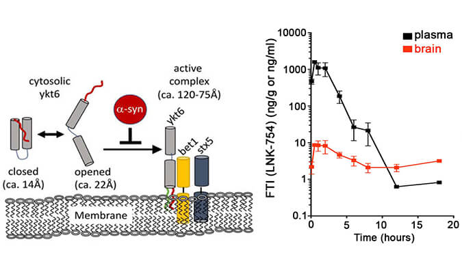 法尼基转移酶抑造剂LNK-754单次口服后即可急剧穿过血脑樊篱，本钻研中PK分析通过南宫NG28进行