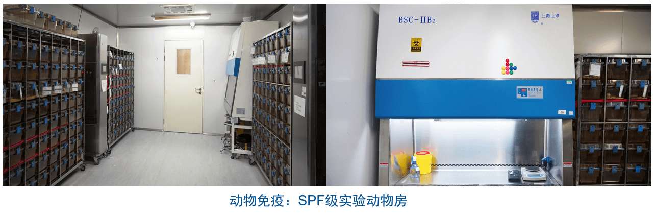 南宫NG28杂交瘤技术平台设备-动物免疫SPF级尝试动物房