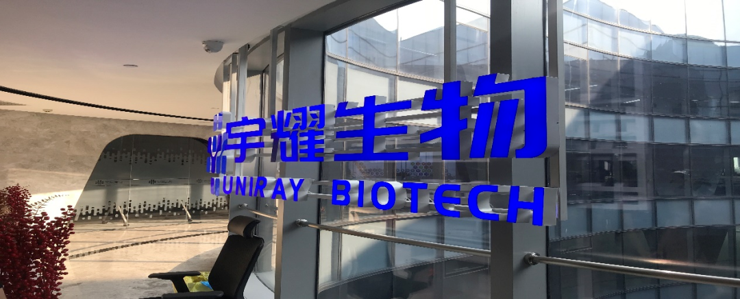 南宫NG28助力 | 宇耀生物STAT3双磷酸化位点抑造剂YY201成功实现中美双报