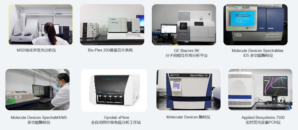大动物药效尝试分析设备.jpg 大动物药效尝试分析设备.jpg
