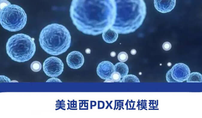 南宫NG28PDX模型.jpg