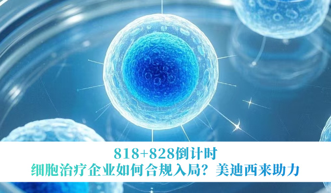 818+828倒计时 | 细胞医治企业若何合规入局？南宫NG28来助力