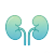 急性肾危险模型.png 急性肾危险模型.png